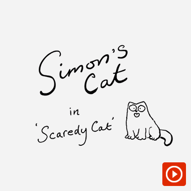 simon's cat